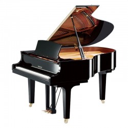 Yamaha,Grand Piano,C2X
