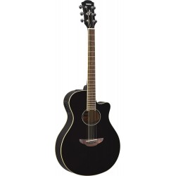 Yamaha, Acoustic Electric...